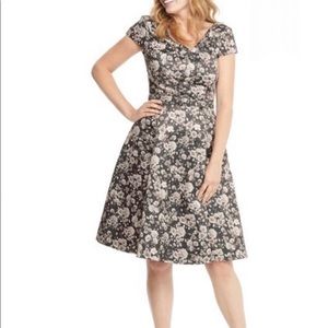 Gal meet glam fit and flare Aline floral dress